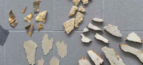 Retour de Paris: Maria Tackmann