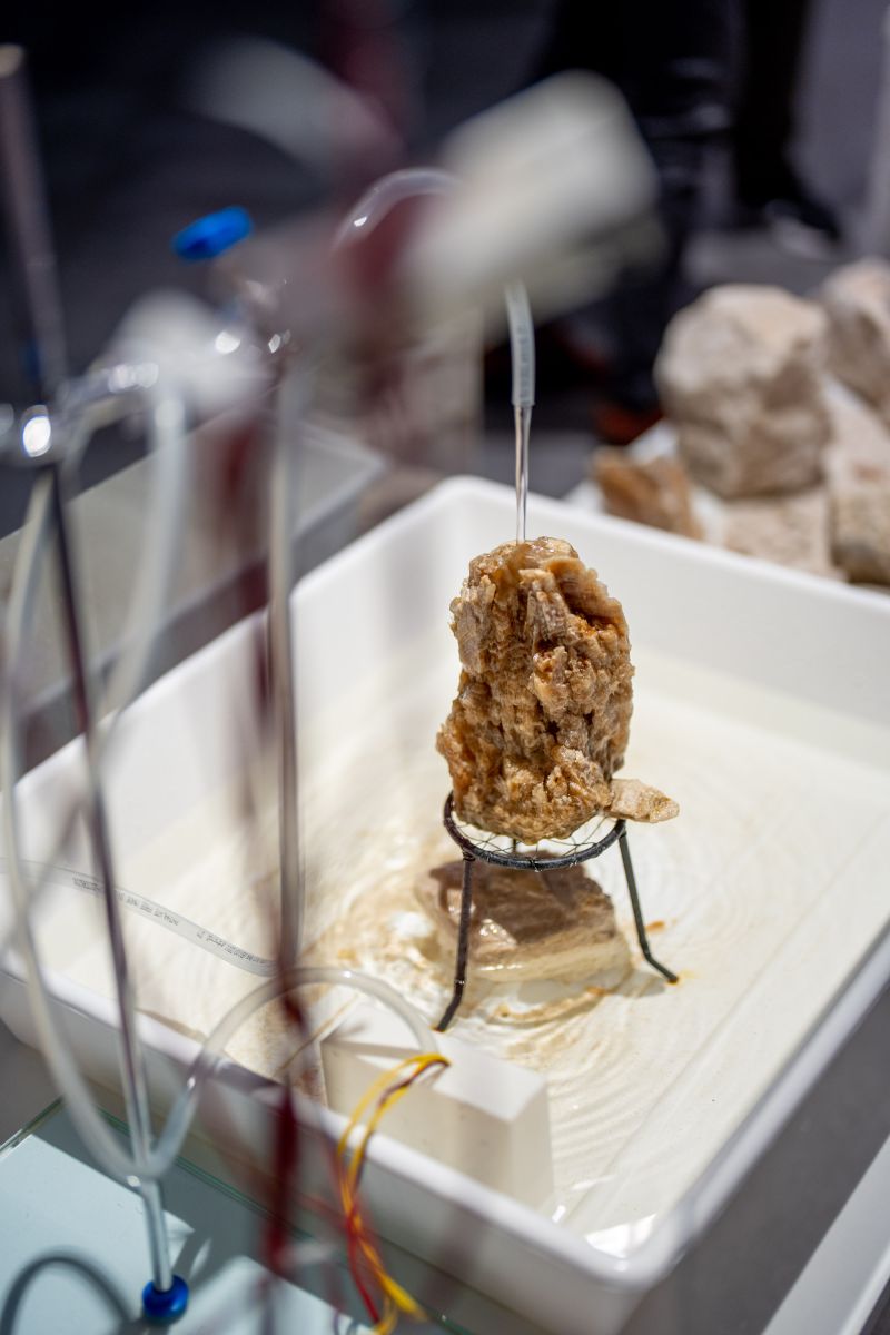 Retour de Paris: Karolina Sobel