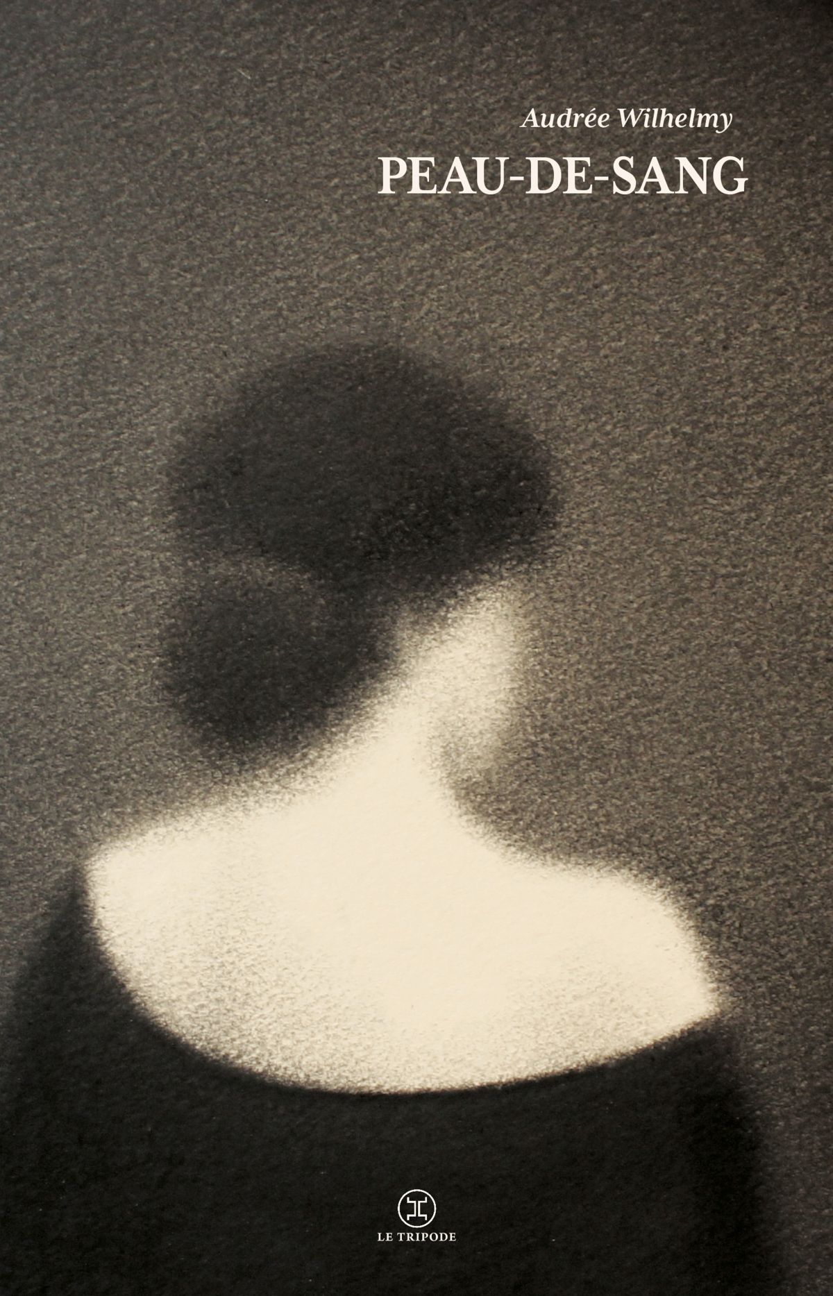 La Rentrée littéraire au CCFA: Audrée Wilhelmy (Quebec)