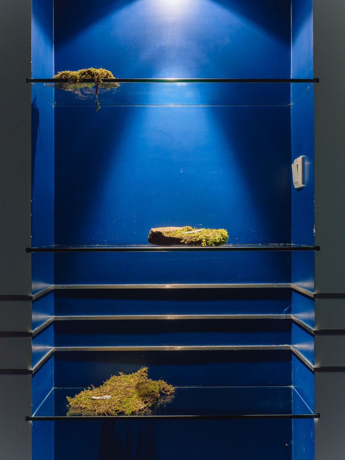 Retour de Paris: Juli Gebhardt "Out of bounds" 