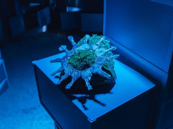 Retour de Paris: Juli Gebhardt "Out of bounds" 