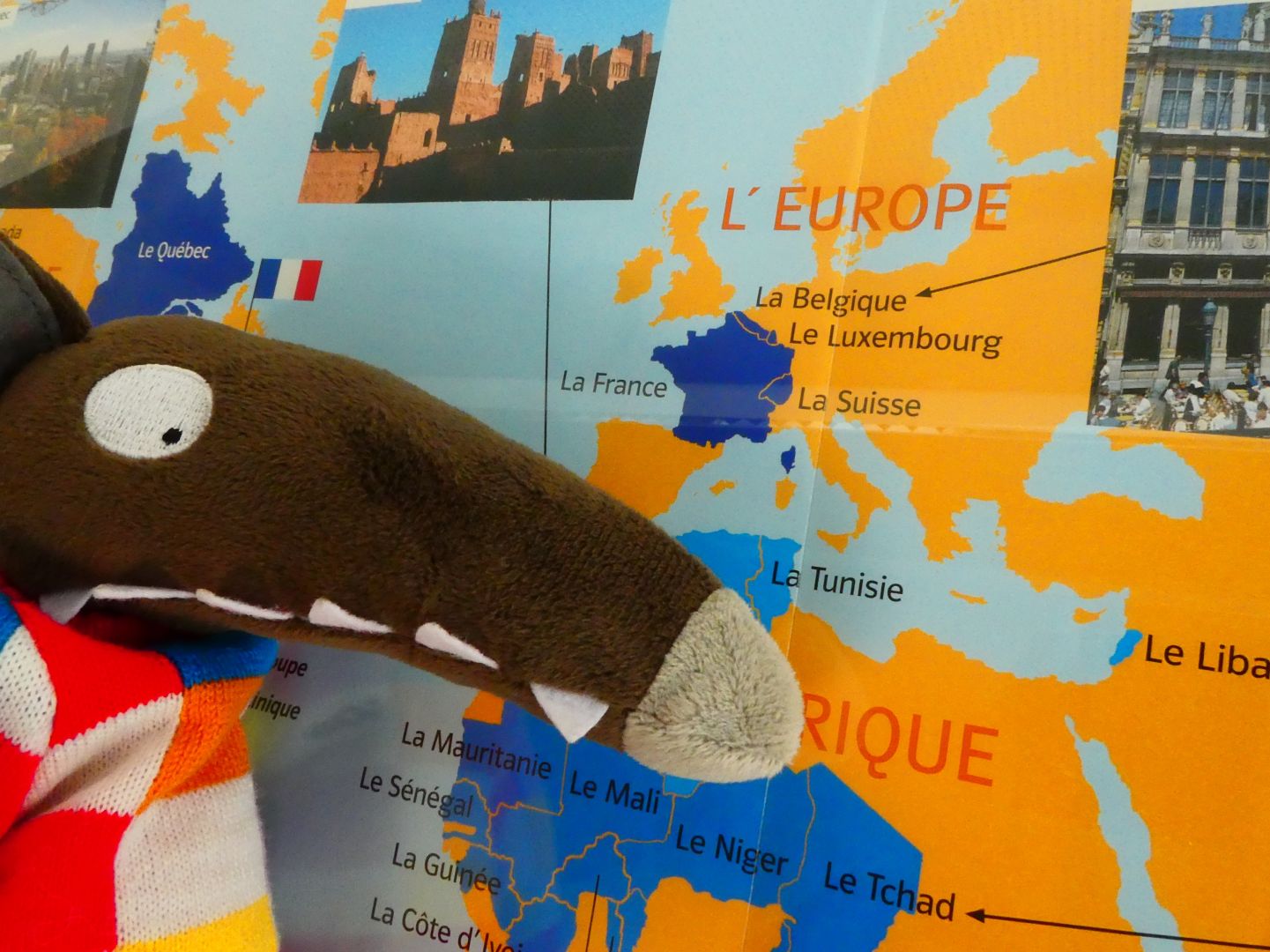 Der Wolf, der eine Europareise machen wollte