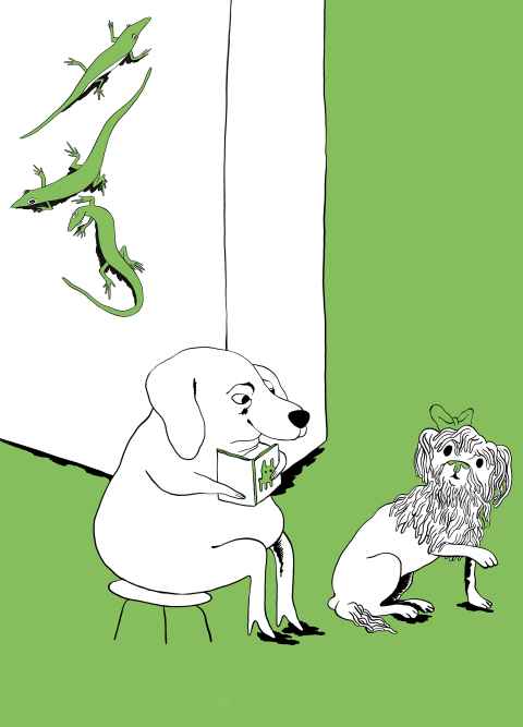 CCFA @ Art Karlsruhe 2024