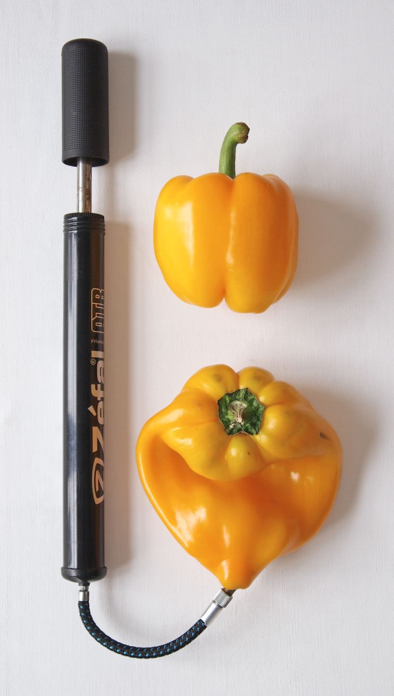 RÜCKBLICK IN BILDERN: Fest der Reste