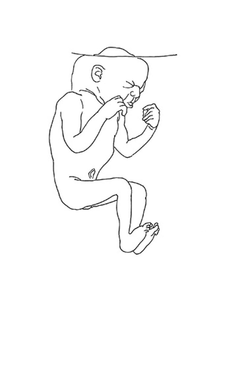 Heidi Wood: Collections francophones