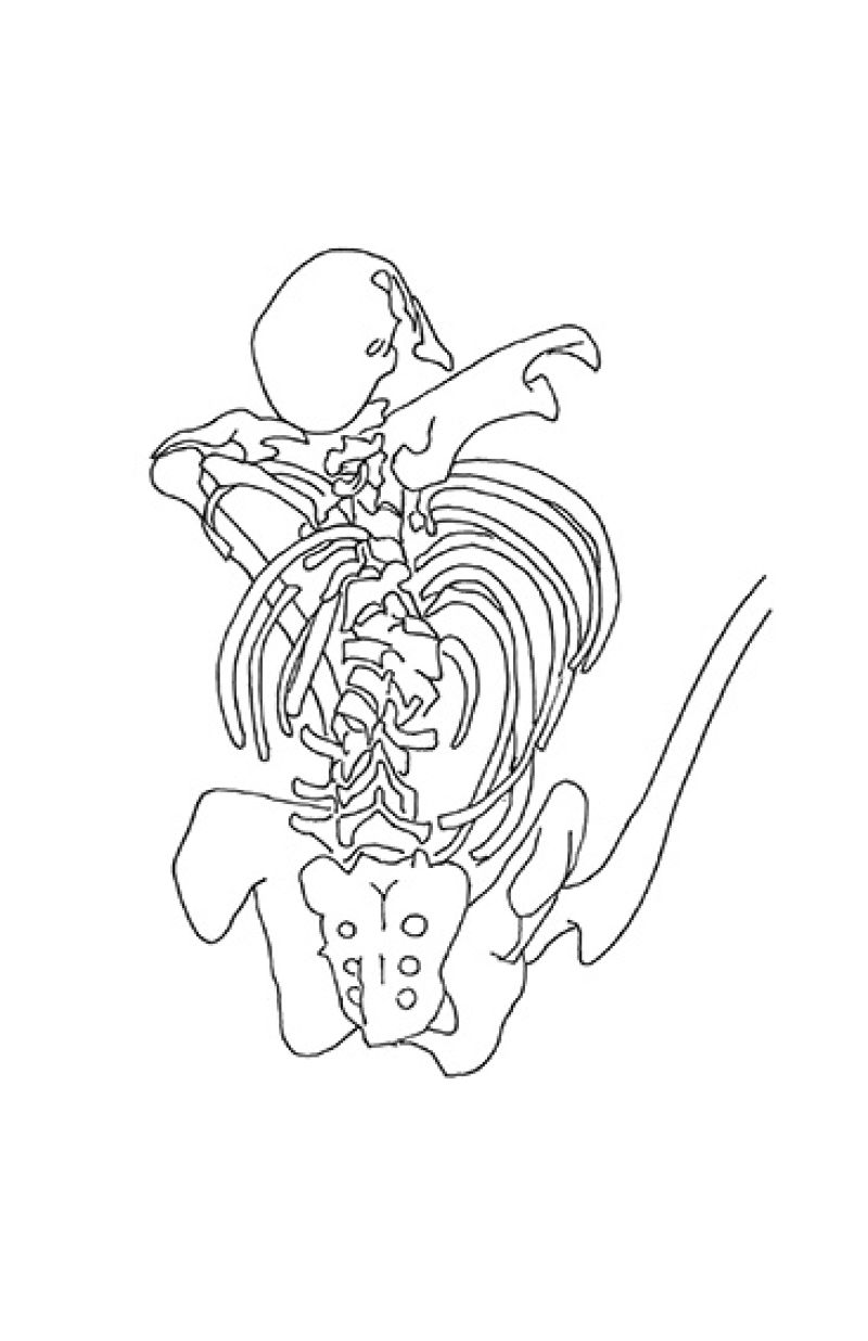 Heidi Wood: Collections francophones