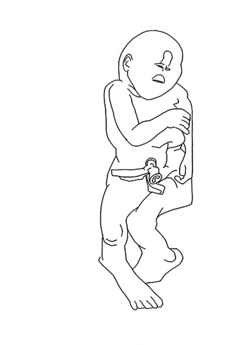 Heidi Wood: Collections francophones